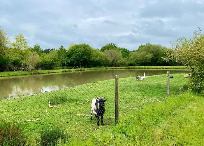 Independant Au Calme Avec Jardin Et Wifi, A 12 Km Des Plages - Fr-1-306-1287 Ferienhaus *